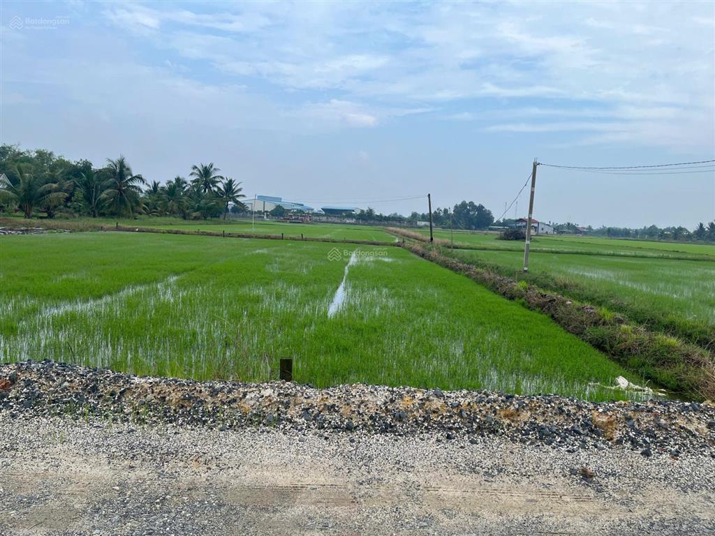 Đất thổ cư  5x45m  gần chợ trường học  đức huệ, long an
