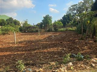 Hàng hiếm bán đất mặt tiền đường trần phú, ngay trung tâm thị trấn liên nghĩa, gần sân bay