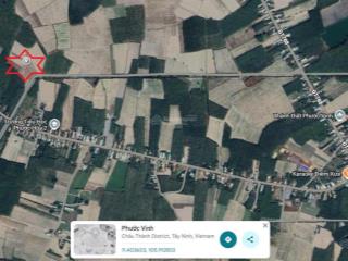 Bán rẻ 120 triệu 1000m2, đất cây lâu năm, phước vinh châu thành, tổng diện tích 5600m2.