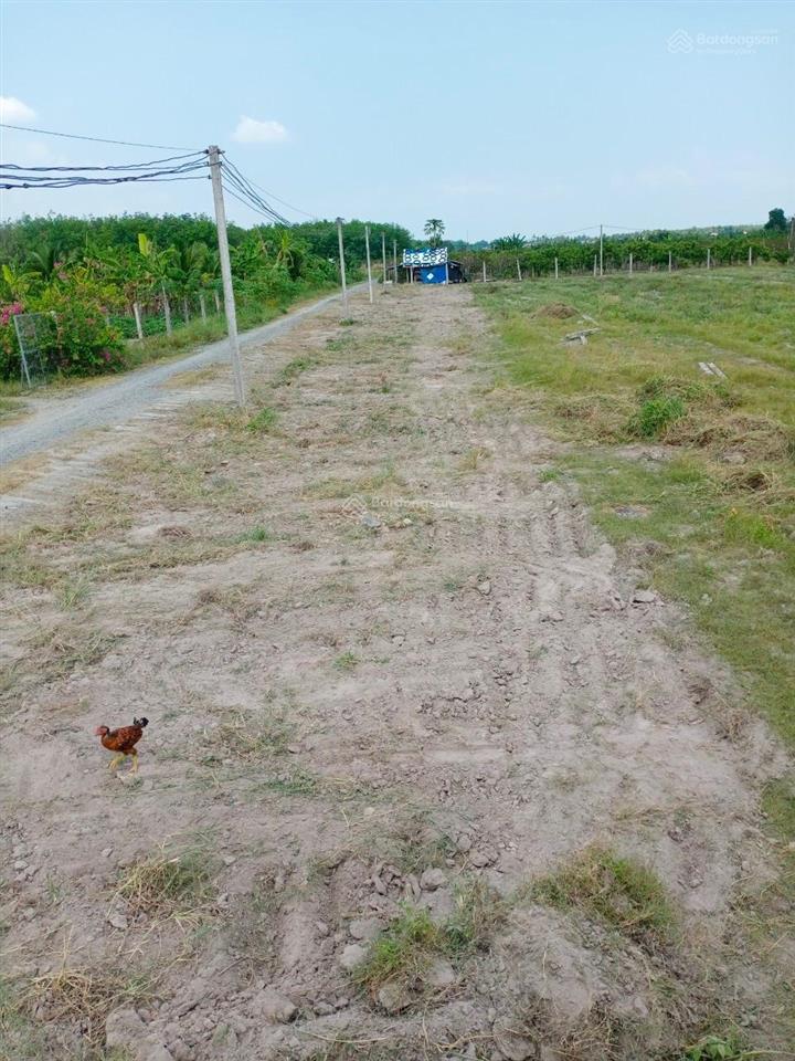 197.5m2 6x32m 100% thổ cư phường bình minh, tây ninh  giá tốt!  ngay 0909 383 ***