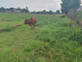 Gia đình tôi cần bán gấp lô đất 6x17 cạnh kcn tân đức giá 750tr 0938 192 ***