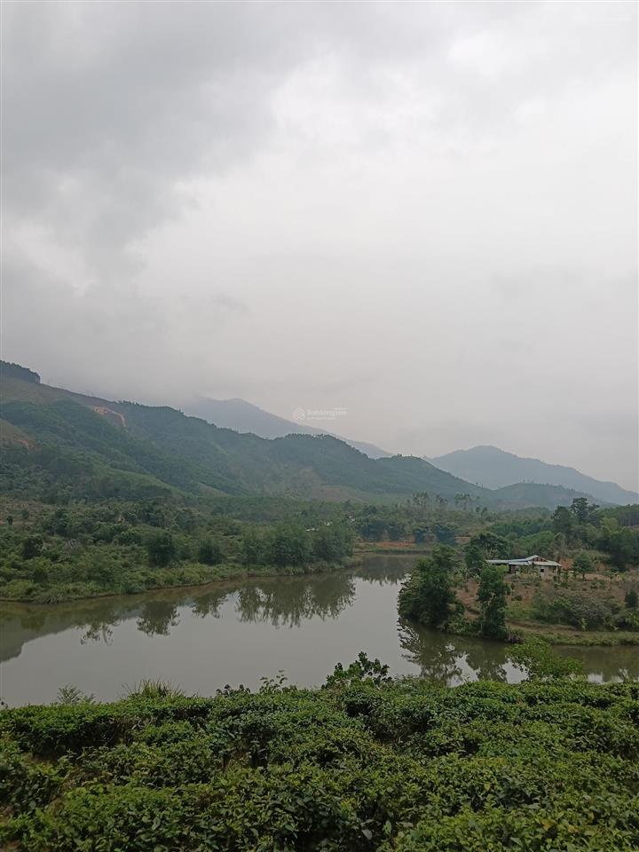 Khu đất nhà vườn lý tưởng để nghỉ dưỡng ở tây bà nà hills. diện tích 1558,4m2 có 400m2 nhà ở