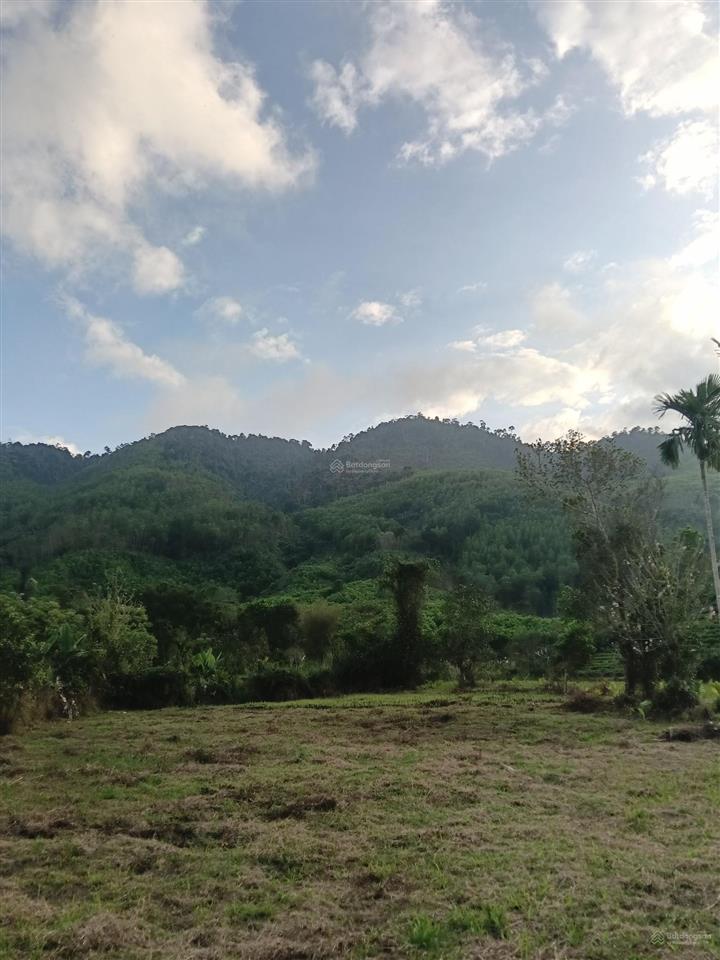 Khu đất nhà vườn lý tưởng để nghỉ dưỡng ở tây bà nà hills. diện tích 1558,4m2 có 400m2 nhà ở