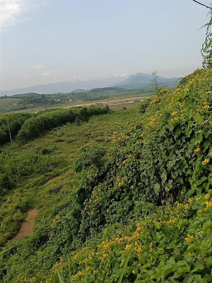 Khu đất nhà vườn lý tưởng để nghỉ dưỡng ở tây bà nà hills. diện tích 1558,4m2 có 400m2 nhà ở