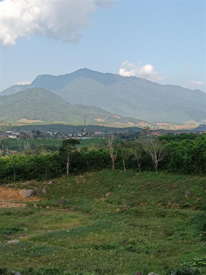 Khu đất nhà vườn lý tưởng để nghỉ dưỡng ở tây bà nà hills. diện tích 1558,4m2 có 400m2 nhà ở