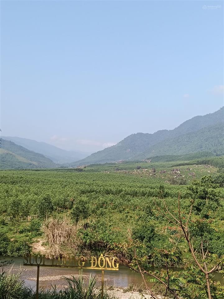 Khu đất nhà vườn lý tưởng để nghỉ dưỡng ở tây bà nà hills. diện tích 1558,4m2 có 400m2 nhà ở