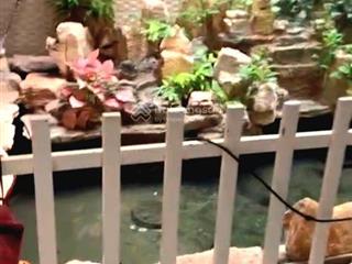 Bán villa bàu cát 2 191m² 3 tầng  40 tỷ  biệt thự mặt tiền khu biệt thự tân bình