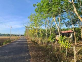 Bán đất tại xã lộc thịnh, 650 triệu, 209.4 m2, mặt tiền 5m