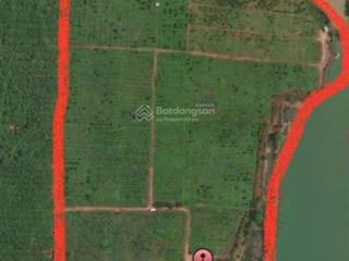 Cần bán trang trại cam, quýt view hồ lộc quang thích hợp làm khu sinh thái