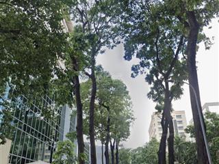 Bán nhà mt mạc đỉnh chi quận 1  1317m2 33x39 giá chỉ nhỉnh 900tr/m2