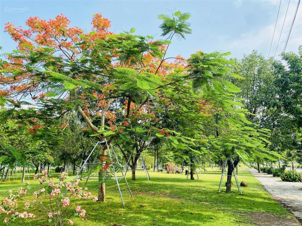 Bán đất khu dịch vụ hỗn hợp vsip quảng ngãi