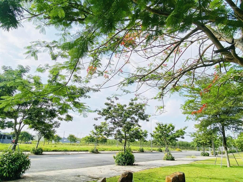 Bán đất khu dịch vụ hỗn hợp vsip quảng ngãi