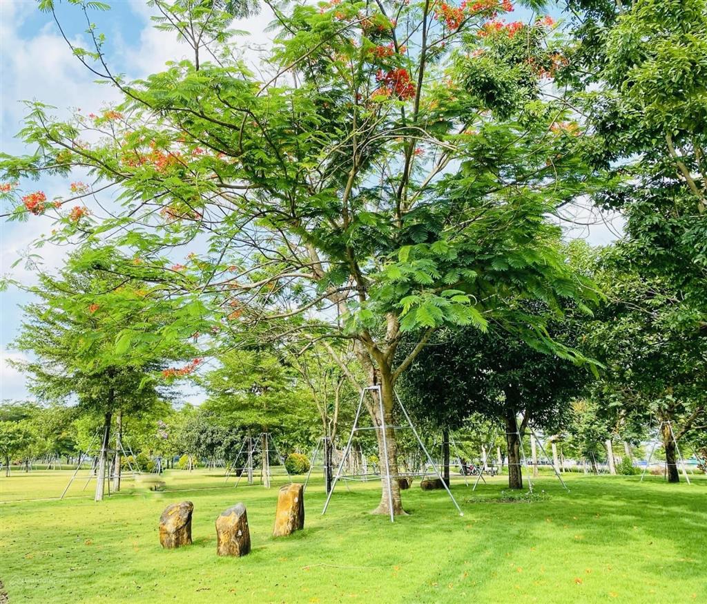 Bán đất khu dịch vụ hỗn hợp vsip quảng ngãi