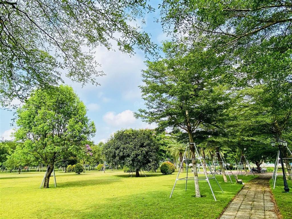 Bán đất khu dịch vụ hỗn hợp vsip quảng ngãi