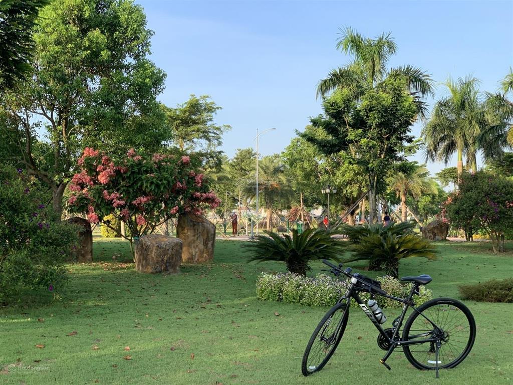 Bán đất khu dịch vụ hỗn hợp vsip quảng ngãi