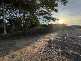 Đất hằng năm có sổ hồng đất nằm đường lộ 785c có thể lên thổ cư 60  80% lên được