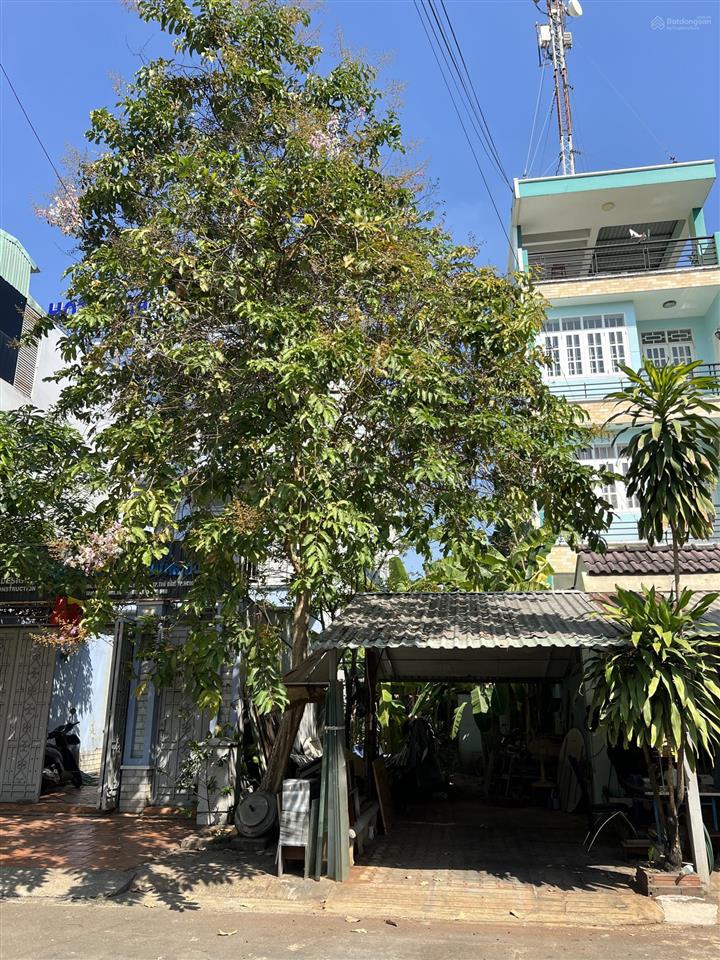 Đất nền kdc kiến á kế bên global city giá chỉ 85tr/m2