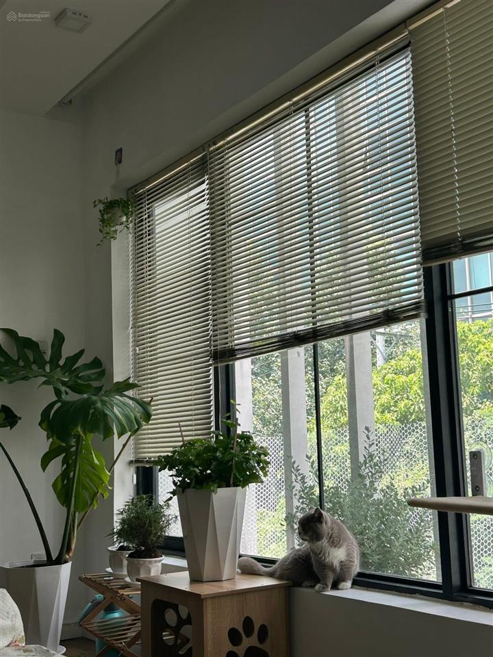 Chdv mini full nội thất cửa sổ kính lớn, thoáng  cho nuôi pet