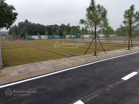Đất đẹp full thổ cư trục chính sinh lời mạnh cổ đông hòa lạc, đón đầu quy hoạch hạ tầng