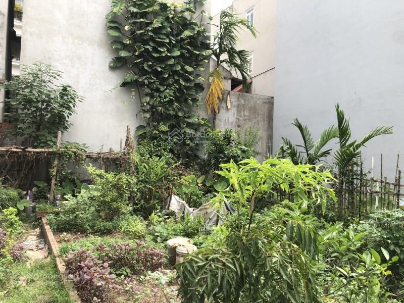 Hiếm! bán đất bồ đề  long biên 50m  mt 3,5m  ô tô  dòng tiền  kinh doanh  giá nhỉnh 10 tỷ.