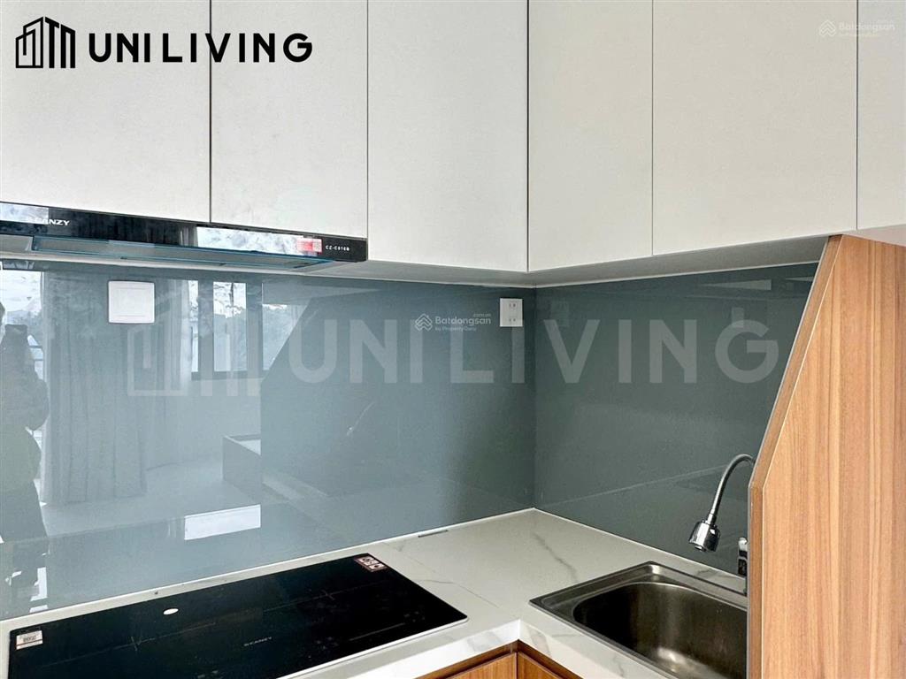 Cho thuê chdv cực sang  thiết kế hút mắt  siêu mới  ngay đảo kim cương