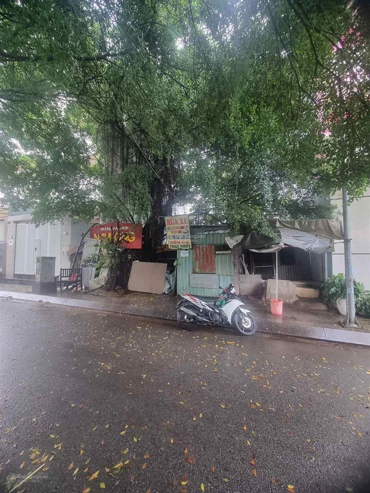 Bán đất đường d6 khu hoàn cầu, phường tân thuận tây quận 7. ngay căn hộ green, cầu tân thuận 2