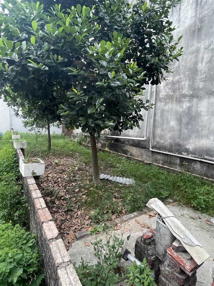 Lê pháp gần võ nguyên giáp 54m² giá 4,45tỷ (có tl) oto qua đất 2 mặt thoáng. gần dự án cv kim quy