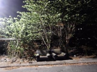 Cắt lỗ sâu, chỉ 52tr m2, ngang đẹp 6,5m sổ đẹp, đất đẹp, đường to đẹp