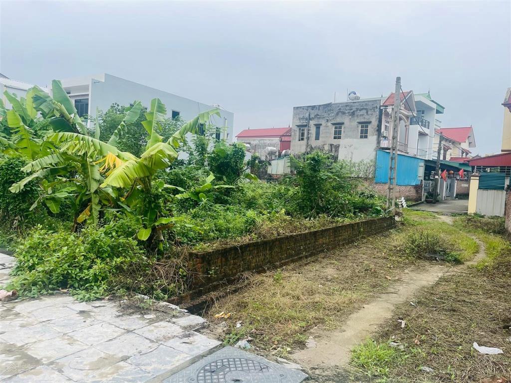 Thanh lý đất đẹp tiên hùng, nguyên khê, đông anh, ngõ thông
