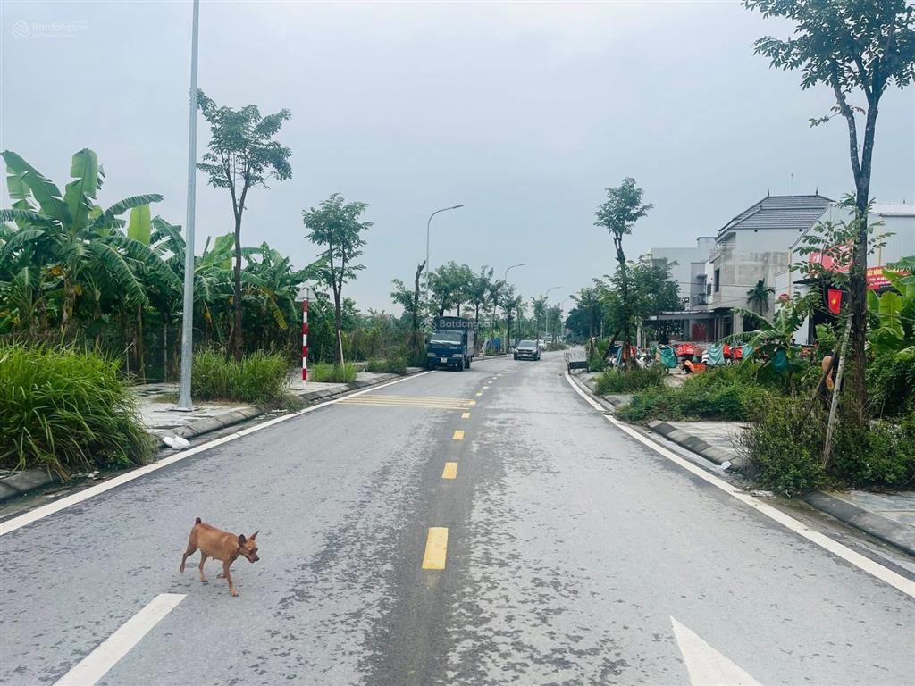 Thanh lý đất đẹp tiên hùng, nguyên khê, đông anh, ngõ thông
