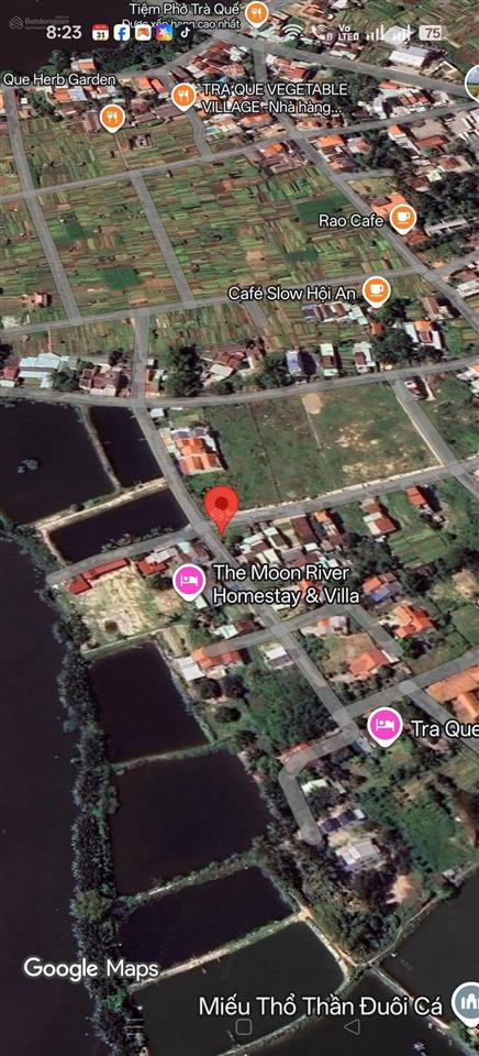 **bán đất sát vườn rau trà quế hội an**