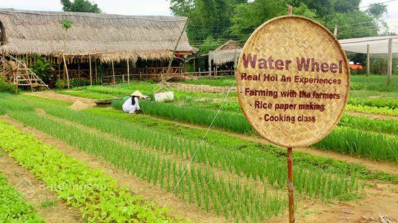 **bán đất sát vườn rau trà quế hội an**
