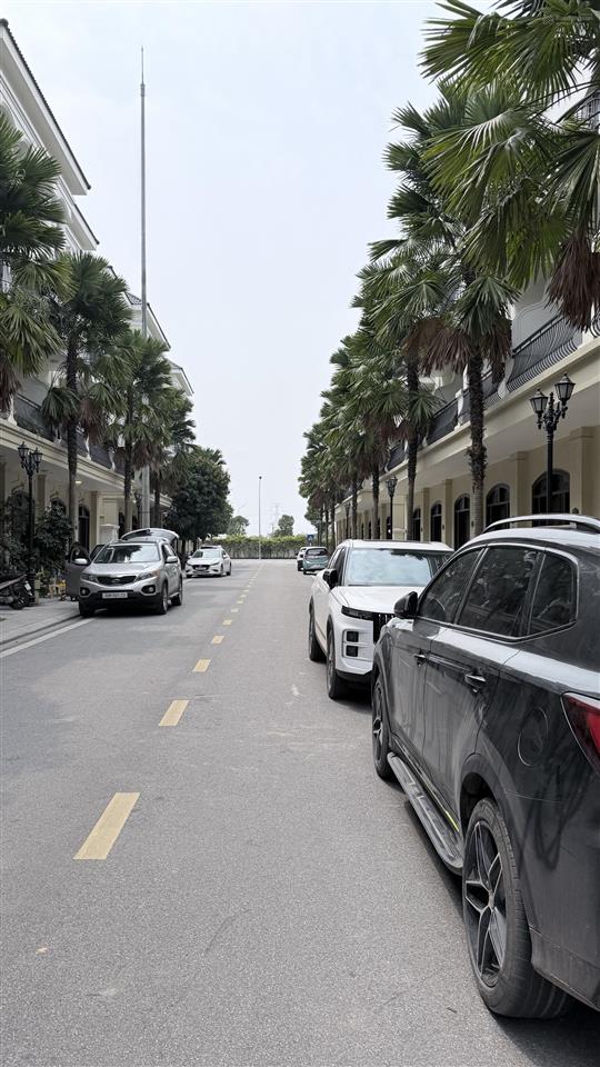 Cắt lỗ sốc 2,5 tỷ, bán gấp căn chà là 6 dự án vinhomes ocean park, giá 10,58 tỷ bao phí