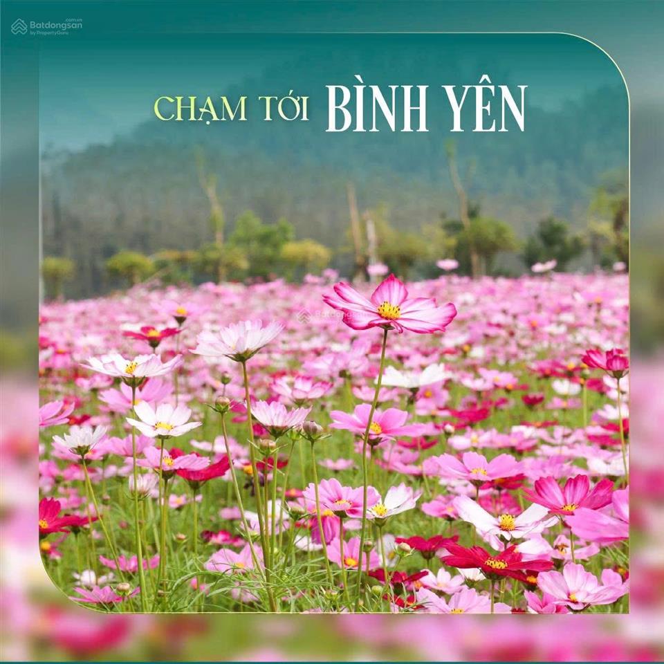 Chính chủ bán villa ivory căn góc hiếm 250m²  vị trí cao nhất, view toàn cảnh cực đẹp  giá tốt