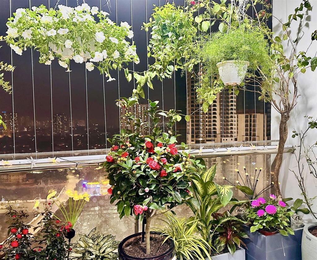 Cc bán căn hộ tsq euroland mỗ lao 174m²  thiết kế đẹp, nội thất cao cấp, không gian đáng sống