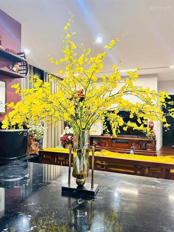 Cc bán căn hộ tsq euroland mỗ lao 174m²  thiết kế đẹp, nội thất cao cấp, không gian đáng sống