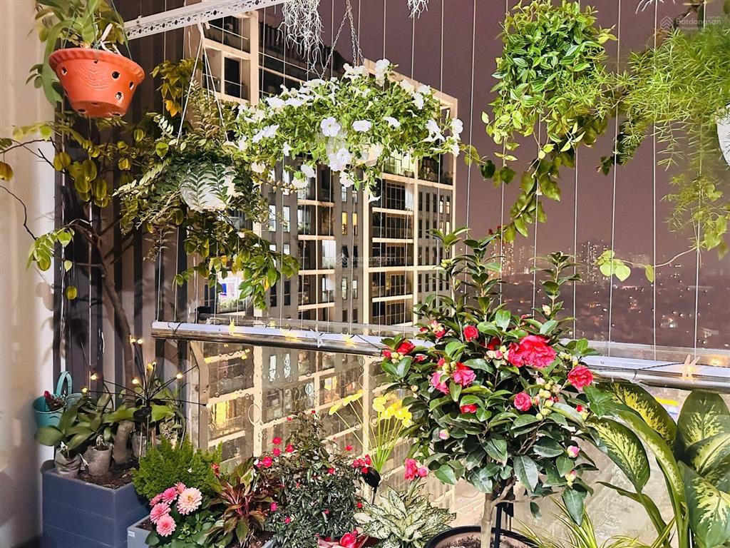 Bán căn hộ tsq euroland mỗ lao 174m2 thiết kế đẹp, nội thất cao cấp, không gian đáng sống