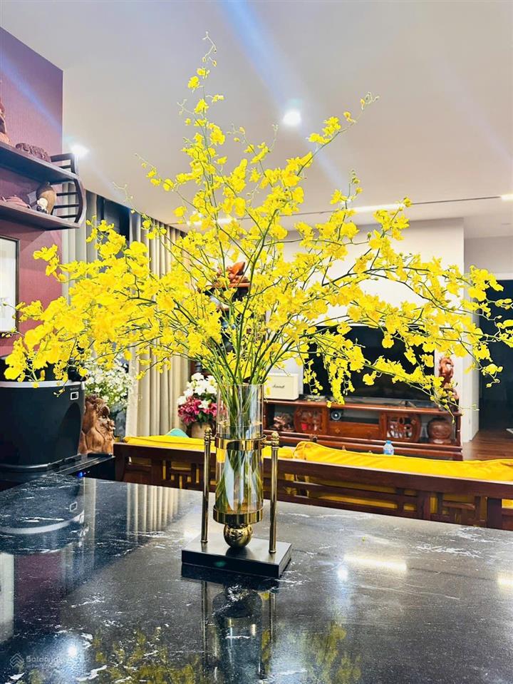 Bán căn hộ tsq euroland mỗ lao 174m2 thiết kế đẹp, nội thất cao cấp, không gian đáng sống