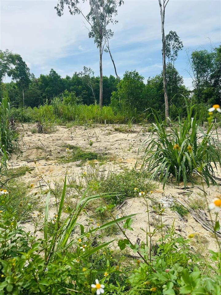 Bán gấp giá rẻ 106m2 đất ở gần công ty may hoà thọ, gần nhà ga đường sắt cao tốc