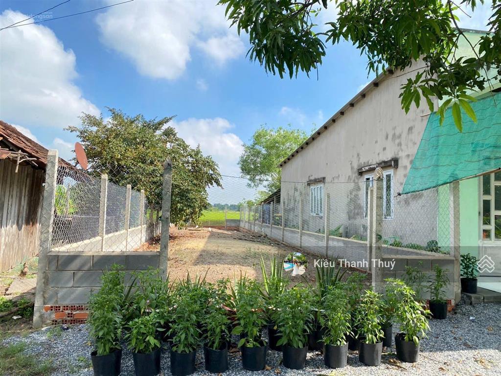 Bán lô đất 127m2 đ. nguyễn văn hoài, tân an hội. sổ hồng riêng. giá siêu rẻ 1 tỷ. cạnh kcn tây bắc