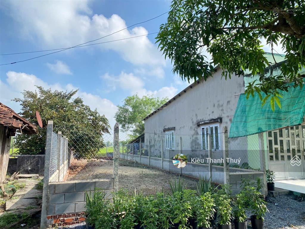 Bán lô đất 127m2 đ. nguyễn văn hoài, tân an hội. sổ hồng riêng. giá siêu rẻ 1 tỷ. cạnh kcn tây bắc