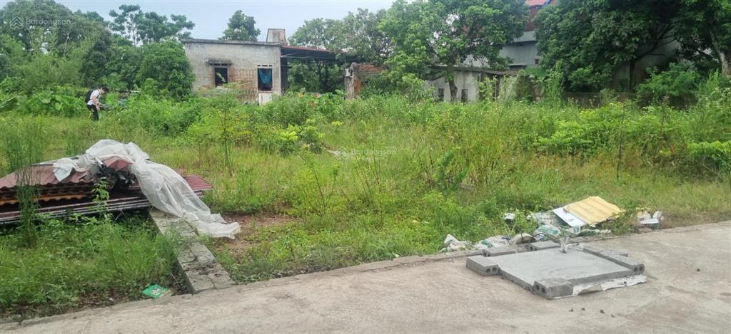 Bán đất tại thôn bình xá, hưng yên, giá cực chất 1,305 tỷ, 68,7m2
