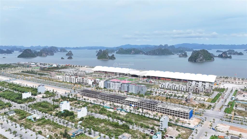 Bán căn hộ studio vân bay tower vân đồn khai thác airbnb/homestay giá trực tiếp chủ đầu tư 1,7 tỷ