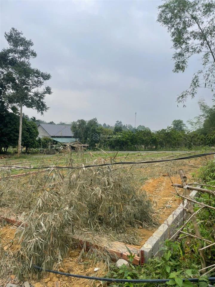 Em còn vài lô tại quyết thắng lạc sơn  hoà bình nay là phú thọ giá 300triệu