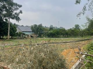 Em còn vài lô tại quyết thắng lạc sơn  hoà bình nay là phú thọ giá 300triệu