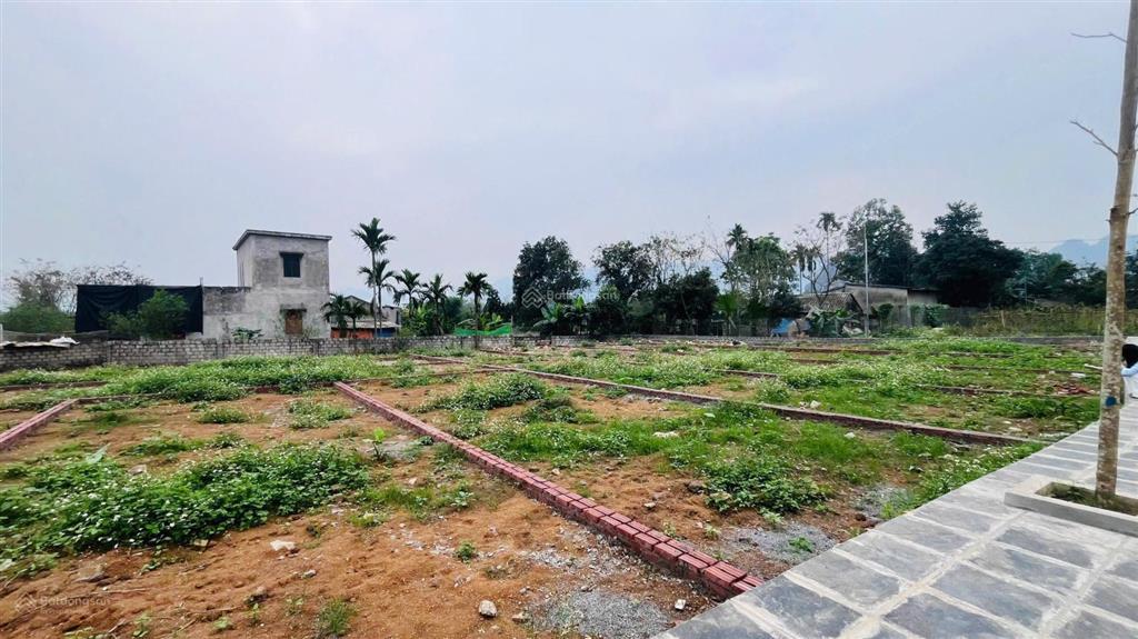 Đất thổ cư giá chỉ 600 triệu, cách hà nội 2km