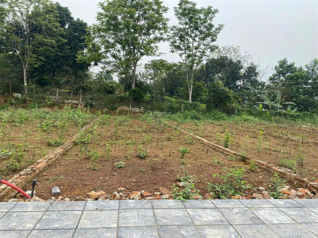 Cần tiền bán gấp lô đất 141m2 full thổ cư, 399 triệu