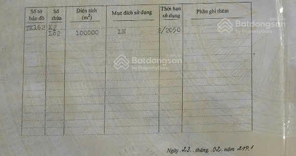 10ha đất đồi view biển, phù mỹ đông bình định