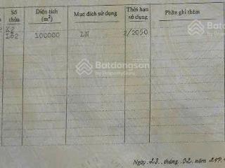 10haz đất đồi view biển, phù mỹ đông bình định