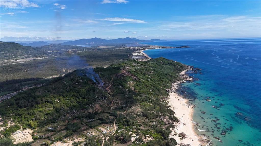 10ha đất đồi view biển, phù mỹ đông bình định